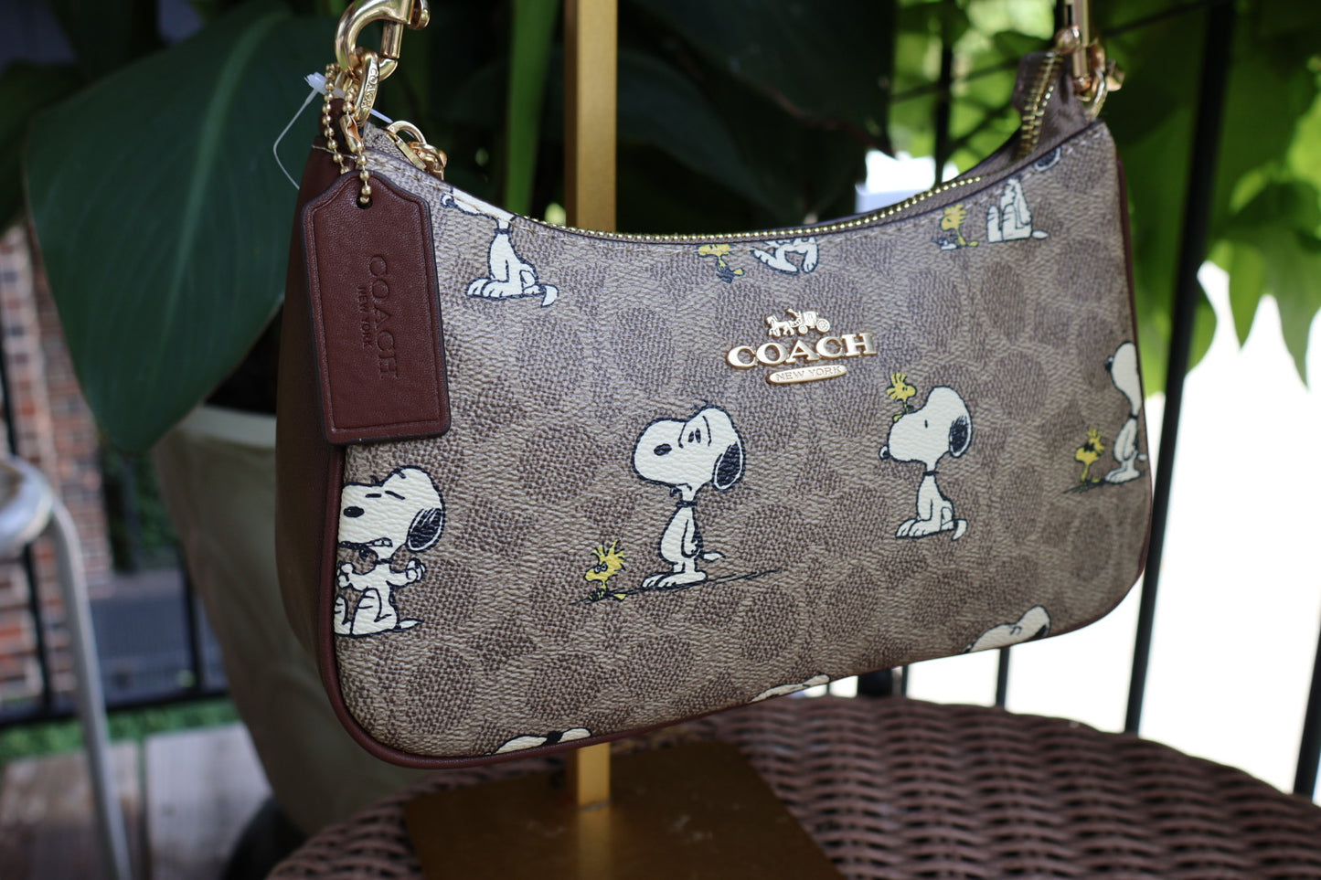 Snoopy Bag